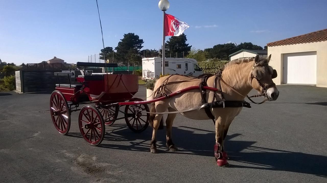 calèche avec ulla